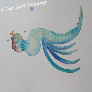 Caitriona Ni Threasaigh Artist