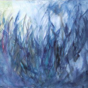 Caitriona Ni Threasaigh Artist