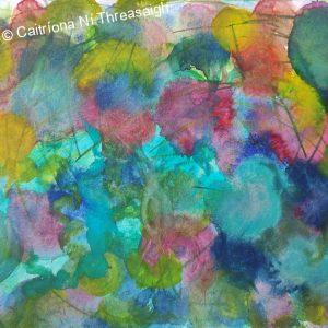 Caitriona Ni Threasaigh Artist