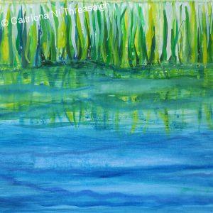 Caitriona Ni Threasaigh Artist