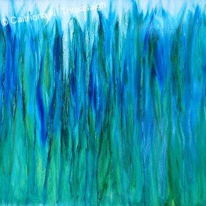 Caitriona Ni Threasaigh Artist