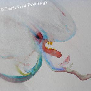 Caitriona Ni Threasaigh Artist
