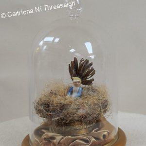 Caitriona Ni Threasaigh Artist